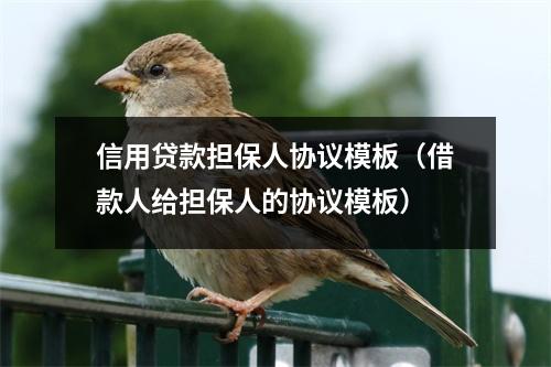 信用贷款担保人协议模板（借款人给担保人的协议模板）
