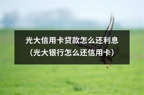 光大信用卡贷款怎么还利息（光大银行怎么还信用卡）