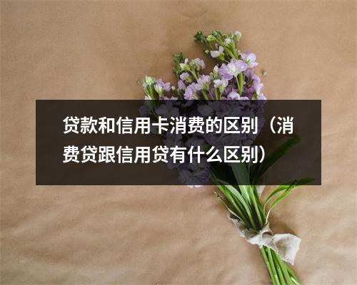 贷款和信用卡消费的区别（消费贷跟信用贷有什么区别）