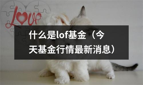 什么是lof基金（今天基金行情最新消息）