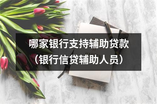 哪家银行支持辅助贷款(银行信贷辅助人员)