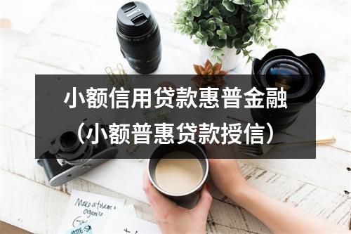 小额信用贷款惠普金融（小额普惠贷款授信）