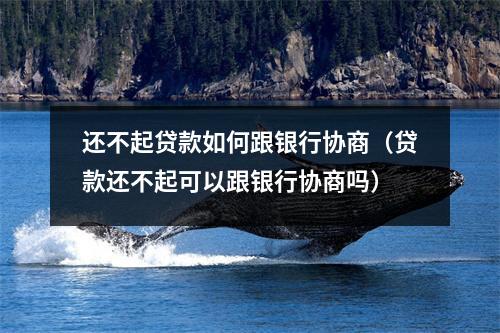 还不起贷款如何跟银行协商(贷款还不起可以跟银行协商吗)