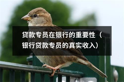 贷款专员在银行的重要性（银行贷款专员的真实收入）