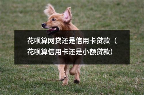 花呗算网贷还是信用卡贷款（花呗算信用卡还是小额贷款）