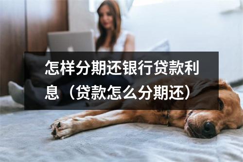 怎样分期还银行贷款利息（贷款怎么分期还）