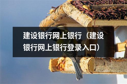 建设银行网上银行（建设银行网上银行登录入口）