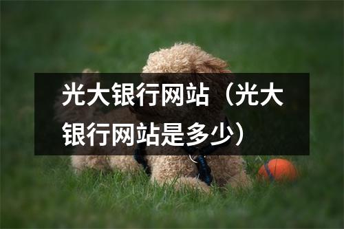 光大银行网站（光大银行网站是多少）