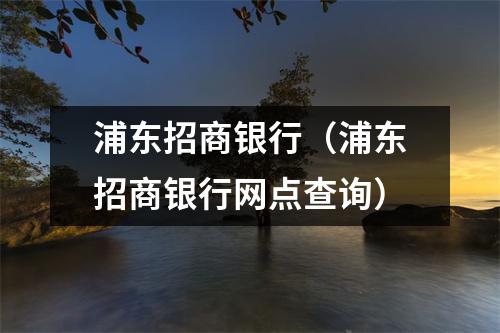 浦东招商银行（浦东招商银行网点查询）