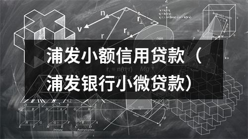 浦发小额信用贷款（浦发银行小微贷款）