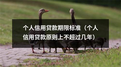 个人信用贷款期限标准（个人信用贷款原则上不超过几年）