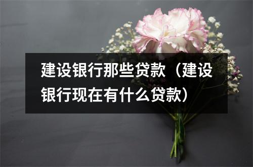 建设银行那些贷款（建设银行现在有什么贷款）