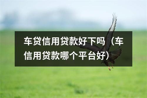 车贷信用贷款好下吗（车信用贷款哪个平台好）