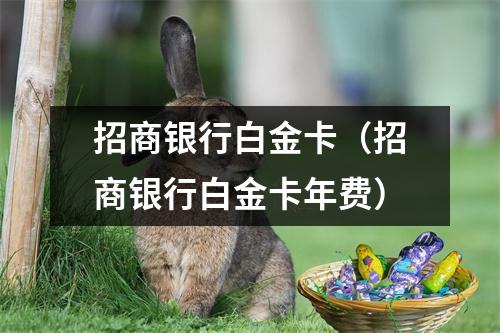 招商银行白金卡（招商银行白金卡年费）