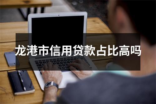 龙港市信用贷款占比高吗