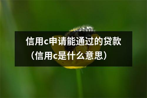 信用c申请能通过的贷款（信用c是什么意思）