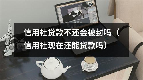 信用社贷款不还会被封吗（信用社现在还能贷款吗）