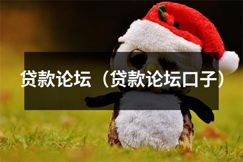 贷款论坛（贷款论坛口子）