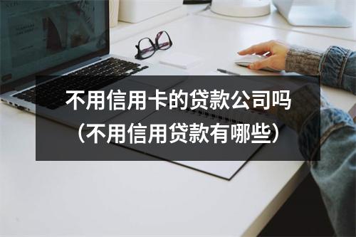 不用信用卡的贷款公司吗(不用信用贷款有哪些)