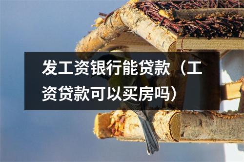 发工资银行能贷款（工资贷款可以买房吗）