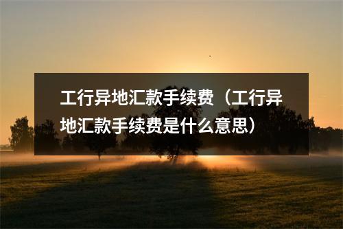 工行异地汇款手续费（工行异地汇款手续费是什么意思）