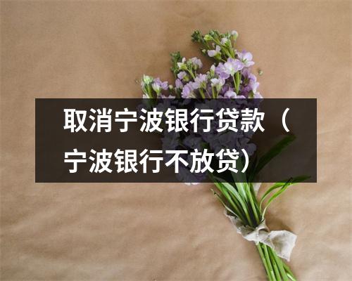 取消宁波银行贷款（宁波银行不放贷）