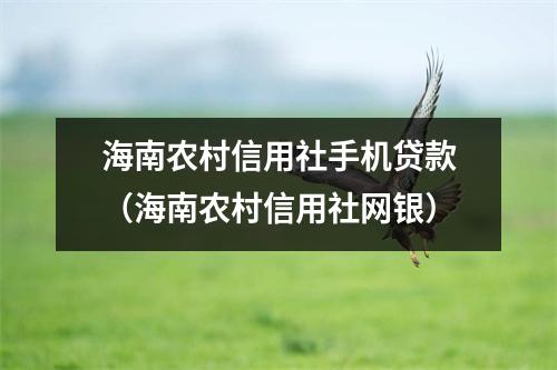 海南农村信用社手机贷款（海南农村信用社网银）