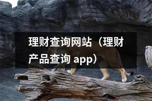 理财查询网站（理财产品查询 app）