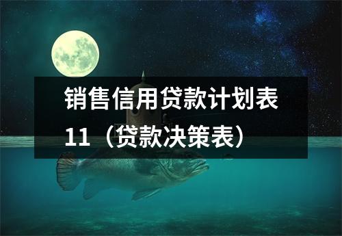 销售信用贷款计划表11（贷款决策表）