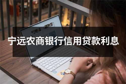 宁远农商银行信用贷款利息