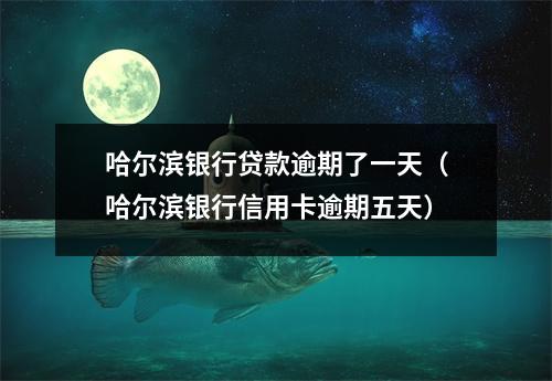 哈尔滨银行贷款逾期了一天（哈尔滨银行信用卡逾期五天）
