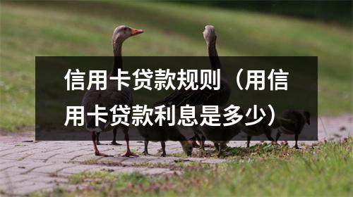 信用卡贷款规则（用信用卡贷款利息是多少）