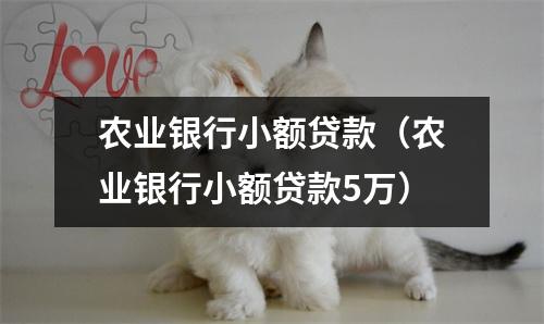 农业银行小额贷款（农业银行小额贷款5万）