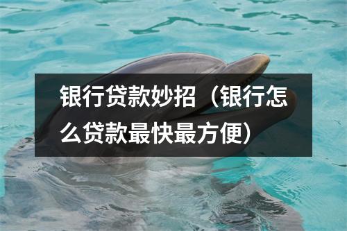 银行贷款妙招（银行怎么贷款最快最方便）