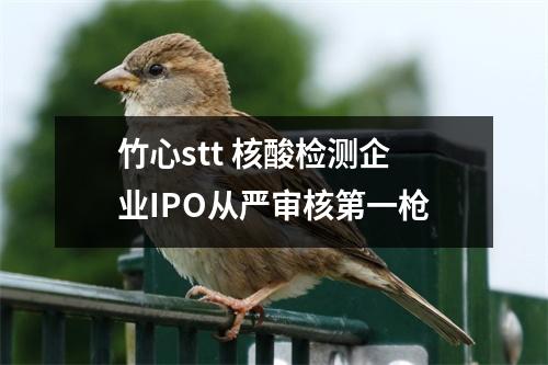 竹心stt 核酸检测企业IPO从严审核第一枪