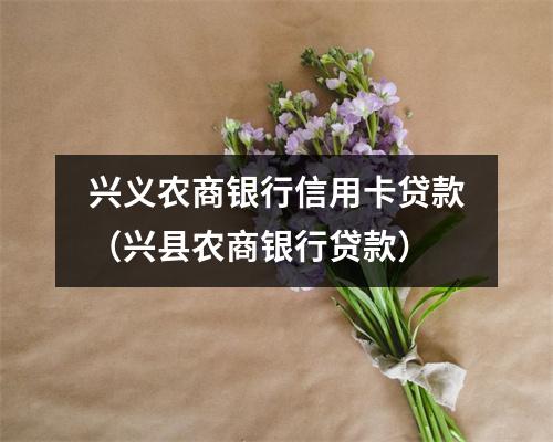 兴义农商银行信用卡贷款（兴县农商银行贷款）