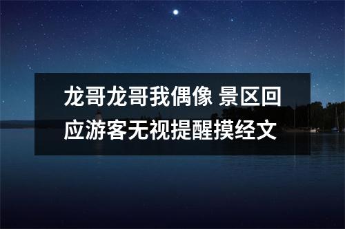 龙哥龙哥我偶像 景区回应游客无视提醒摸经文
