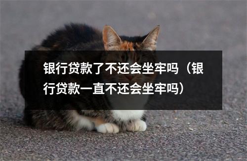 银行贷款了不还会坐牢吗(银行贷款一直不还会坐牢吗)