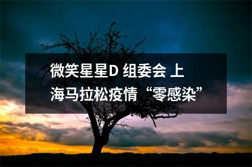 微笑星星D 组委会 上海马拉松疫情“零感染”