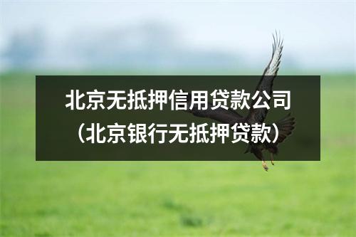 北京无抵押信用贷款公司（北京银行无抵押贷款）