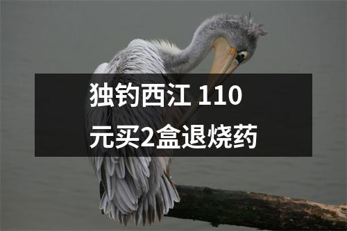 独钓西江 110元买2盒退烧药