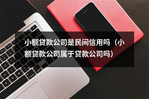 小额贷款公司是民间信用吗(小额贷款公司属于贷款公司吗)