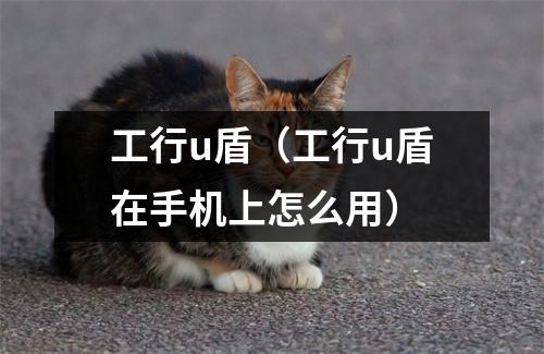 工行u盾（工行u盾在手机上怎么用）