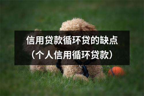 信用贷款循环贷的缺点（个人信用循环贷款）