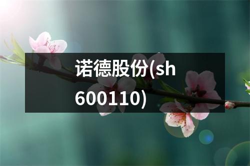 诺德股份(sh600110)