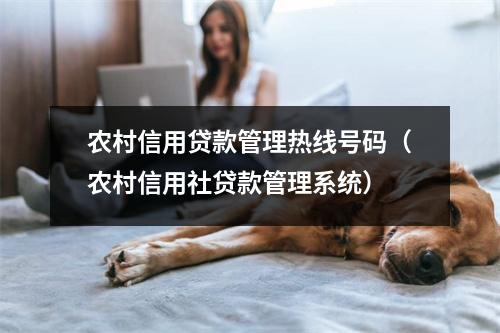 农村信用贷款管理热线号码(农村信用社贷款管理系统)