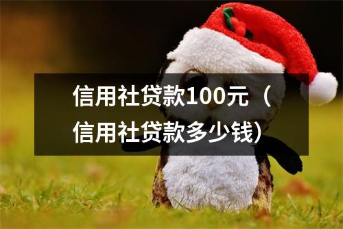 信用社贷款100元（信用社贷款多少钱）