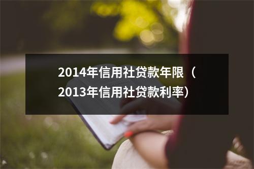 2014年信用社贷款年限（2013年信用社贷款利率）