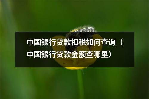 中国银行贷款扣税如何查询（中国银行贷款金额查哪里）