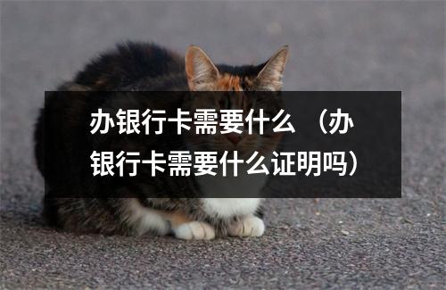 办银行卡需要什么 （办银行卡需要什么证明吗）